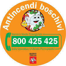 Logo antincendi boschivi con numero verde emergenze 800 425 425