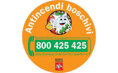 Logo antincendi boschivi con numero verde emergenze 800 425 425