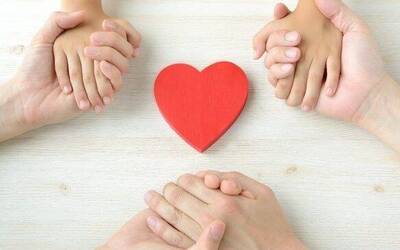 Cuore rosso al centro e intorno tre coppie di mani che si stringono