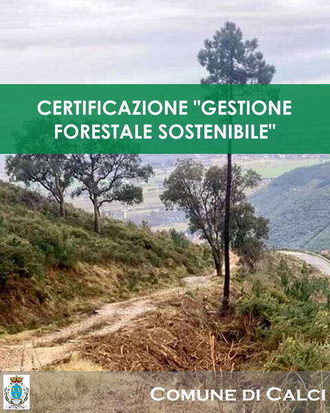 banner "Certificazione gestione forestale sostenibile", sullo sfondo un panorama del Monte Pisano