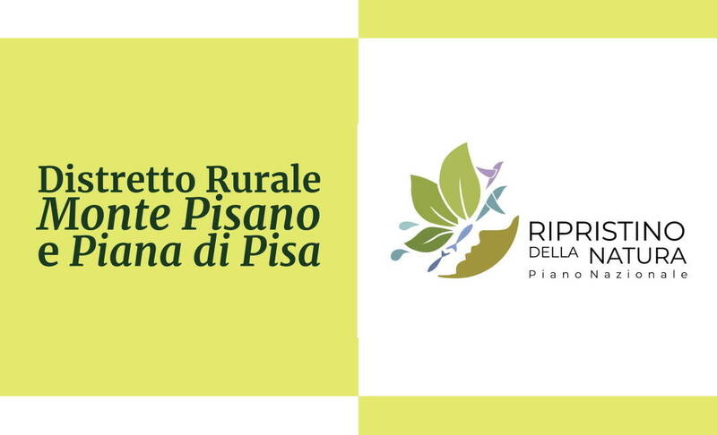 loghi del distretto rurale e del pnrn