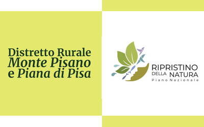 loghi del distretto rurale e del pnrn